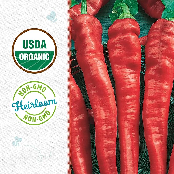 Back to The Roots 100% Organic Seed Packet - Chili Pepper 'Cayenne Thin' 140mg