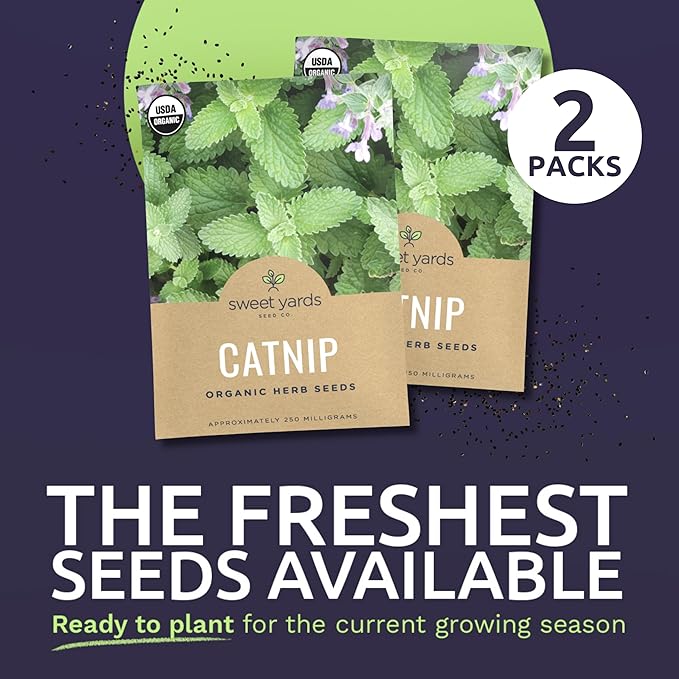 Catnip Seeds – Two Seed Packets! – Over 880 Open Pollinated Non-GMO Seeds – Sweet Yards Seed Co.