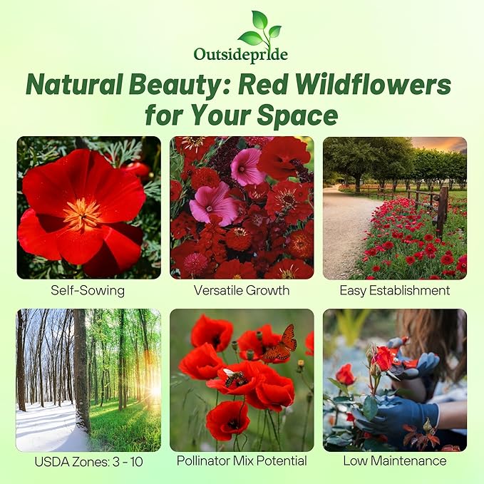 Outsidepride Red Color Shades Mix Wildflower Seeds - 10000 Pcs Annual Easy to Grow, Low Maintenance, Self-Seeding Flower Seeds w/Vibrant Blooms for Pollinator-Friendly Gardens, Containers & Borders