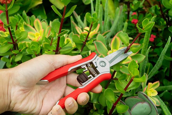 Corona Tools FS43623 Yard Essentials Mini Floral Snips, Red