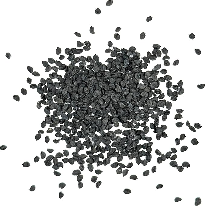 Seed Needs Onion Seeds for Planting Tokyo White Bunching Long Day Onions - Non-GMO Heirloom & Untreated Vegetable Seeds to Plant an Outdoor Home Grown Veggie Garden (2 Packs)