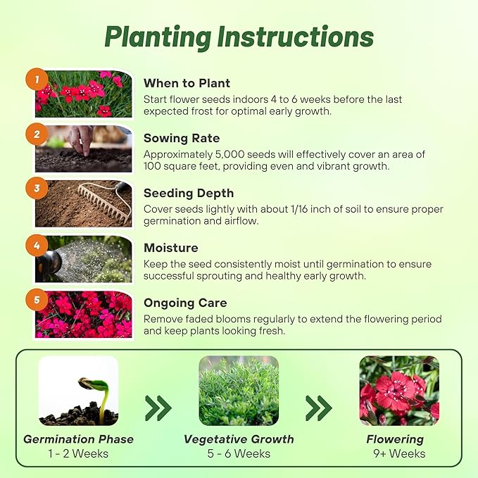 Outsidepride Deltoides Maiden Pink Dianthus Seeds for Planting - 5000 Pcs Easy to Grow Hardy Perennial Flower Seeds with Colorful & Fragrant Blooms for Mixed Plantings, Containers & Pollinator Gardens