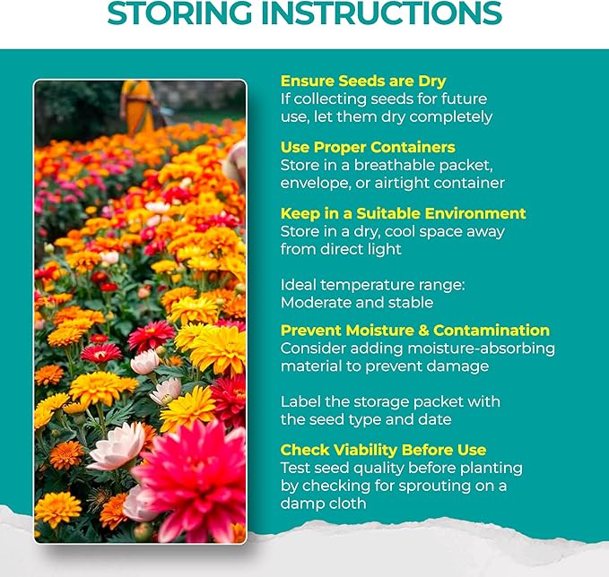 2200+ Mixed Flower Combo Seed Pack for Your Home Garden, 40+ Variety Flower, Including Petunia, Zinnia, Sunflower and More, Attracts Pollinators, Non- GMO and Heirloom