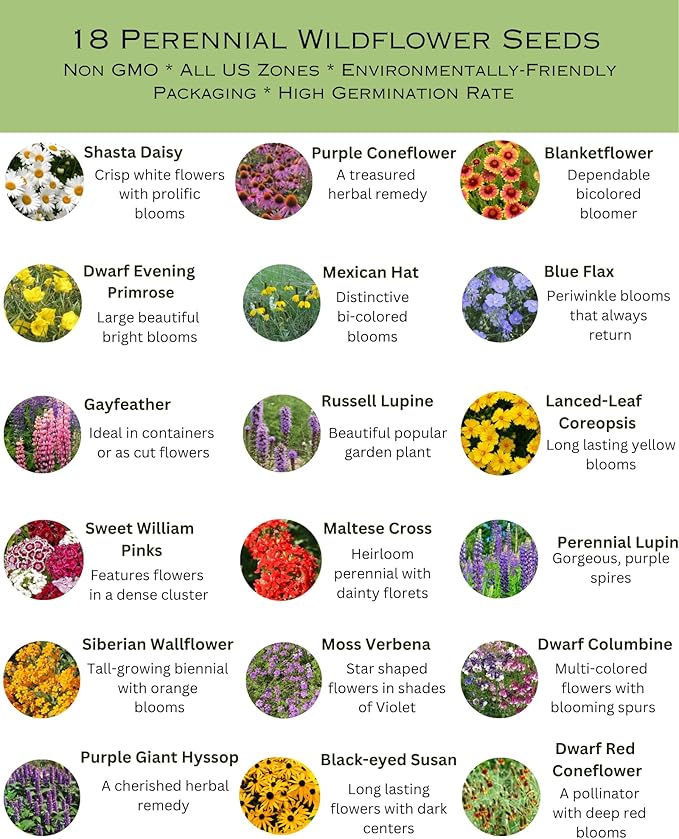 United States Nationwide Bulk Perennial Wildflower Seed Mix - All U.S. Zones - Plant in Spring and Fall (1 Pound Covers 2,000 Square feet) (1/2 Pound)