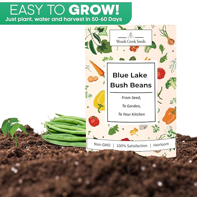 Woods Creek Seeds: Blue Lake Bush Bean Seeds for Planting - Non-GMO Green Bean Seeds for Planting - Tender Stringless Variety - USA Grown Heirloom Bush Beans Vegetable Seed for Outdoors and Indoors