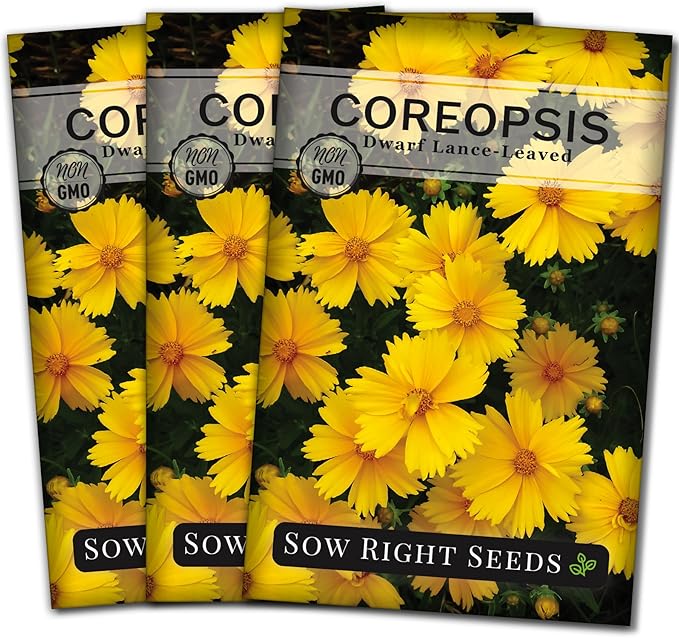 Sow Right Seeds - Dwarf Lance-Leaved Coreopsis Seeds for Planting - Non-GMO Heirloom Perennial Tickseed - Easy-to-Grow Flower for Butterflies & Bees - Sun-Loving Blooms for Gardens and Borders (3)
