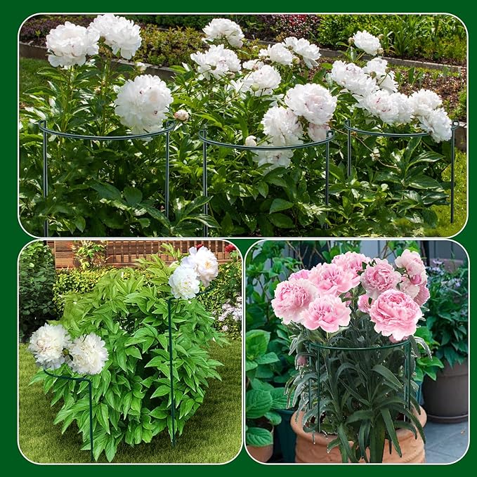 8 Pack Peony Support Cages, 10" W x 24" H Half Round Peony Plant Supports, Heavy Duty Metal Plant Support Stakes, Green Garden Plant Support Rings for Peony, Hydrangea, Roses & Flowers