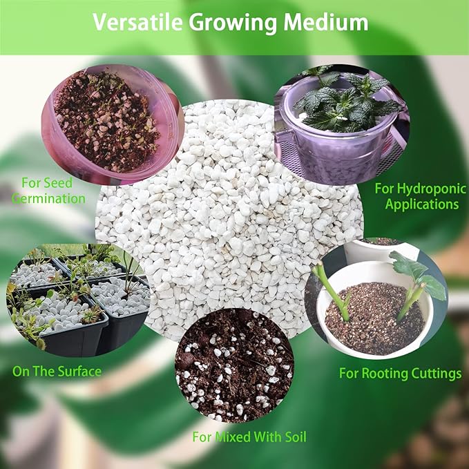 Natural Organic Perlite 10QT for Plants Potting Mix Indoor Outdoor Garden Soil Amendment for Enhanced Drainage, Seed Starter, Root Growth for Succulents, Cactus, Orchids, Money Trees, Vegetables