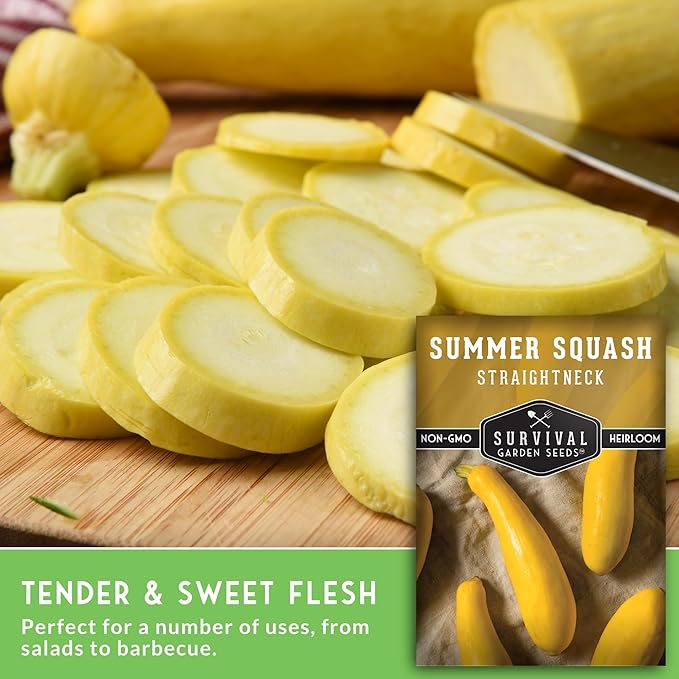Survival Garden Seeds - Straightneck Summer Squash Seed for Planting - 5 Packets with Instructions to Plant and Grow Yellow Squash in Your Home Vegetable Garden - Non-GMO Heirloom Variety