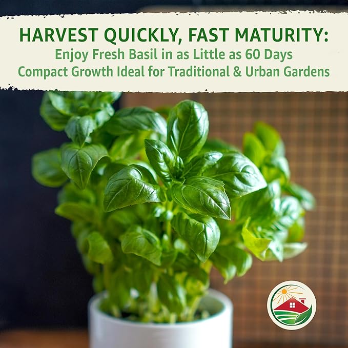 TKE Farms & Gardens - Genovese Basil Seeds for Planting, 600+ Heirloom Non-GMO Italian Basil Seeds, Sweet Culinary Herb, Grow Indoors or Outdoors, Delicious Basil Plants, Instructions Included