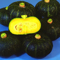 Squash Seeds - Winter - Kurinishiki - Hybrid - 1 Oz ~175 Seeds - Non-GMO, F1 Hybrid - Asian Garden Vegetable