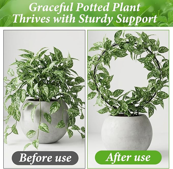 2 Pack Heart Trellis for Indoor Plants Round Plant Trellis for Climbing Plants Indoor Small Hoya Trellis Plant Support for Hoya Pothos Vine Ivy Monstera Flower Philodendrons Dischidia
