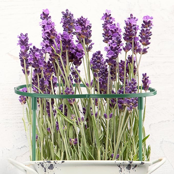 12 PCS Plant Support Stakes, Stackable 3 Tier Garden Flower Support, Half Round Plant Stakes, Tomato Cages, Trellis Support Rings for Climbing Plants Vegetables Flowers Fruits