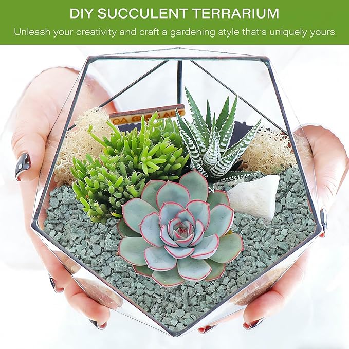 NUPICK 3lb Green Zeolite for Plants, 3/8" Natural Succulent Potting Soil Amendments, Decorative Gravel for Cactus, Bonsai Gritty Rock, Pebbles Pumice for Vase Fillers, Top Dressing