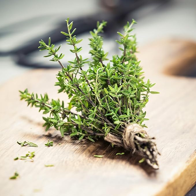 Back to The Roots 100% Organic Heirloom Seeds - Thyme Value Pack (140mg Total)