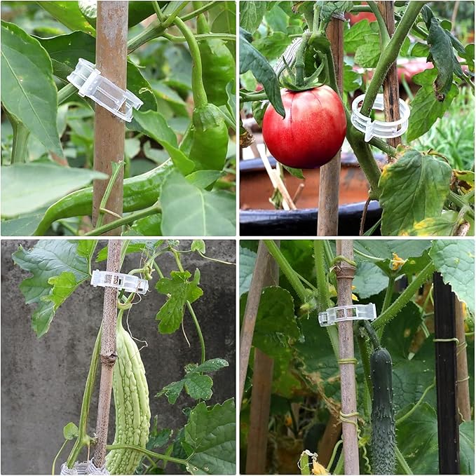 Clear Plant Support Clips 300 PCS, Reusable Plastic Garden Clips for Climbing Plants, Tomato Trellis Clips for Cucumber Eggplant