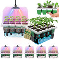Seed Starter Tray with Grow Light,5 Pack 60 Cells Seedling Tray Kit Reusable & Dishwasher Safe for Starting Vegetable, Flower & Herb Seeds Indoor Grow Kit for Deep-Rooted Seedlings