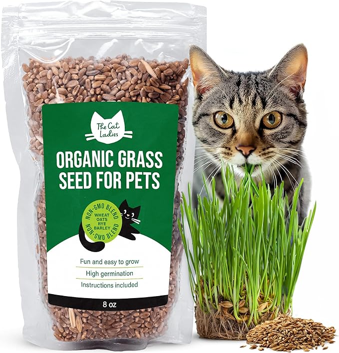 The Cat Ladies 100% Organic Cat Grass Seeds - Cat Grass for Indoor Cats - (Non GMO) 8 oz