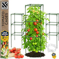 Square Tomato Cage - Large Trellis Stakes and Plant Support Structures for Vegetables and Climbing Plants - Tall Tomato Cages for Garden, Pots, Raised Garden Bed Outdoor Supplies (3 Pack - Up to 41")