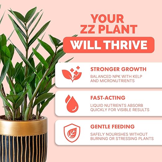 ZZ Plant Fertilizer – Liquid Plant Food for Glossy Green Leaves, Stronger Roots & Healthy New Growth, 8 oz