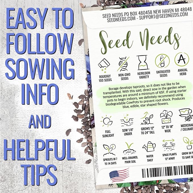 Seed Needs Borage Seeds for Planting Blue Star Flowers - Heirloom Non-GMO & Untreated - Plant a Home Grown Flowering Herb Garden Attract Bees, Butterflies & Other Pollinators (2 Packs)