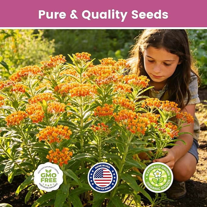 Milkweed Seeds Mix for Monarch Butterflies - Fruivity 5 Varieties Perennial Wildflower Milkweed Seeds Non-GMO Butterfly, Common, Showy, Pink Swamp & White Swamp - Flower Seeds for Pollinator Garden