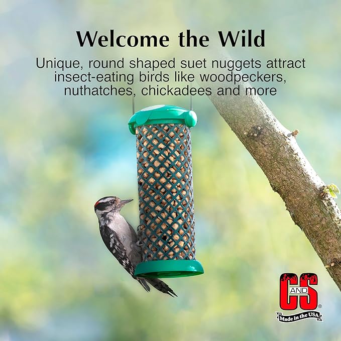 C&S Woodpecker Suet Nuggets, Outdoor Wild Bird Food for Woodpeckers, Flickers and More, 27 Ounces