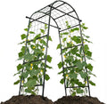 6.6ft Garden Arch Trellis | Walk-Through Plant Support for Climbing Vines Flowers Vegetables Grapes and Tomatoes, Sturdy Outdoor Metal Arbor for Raised Beds