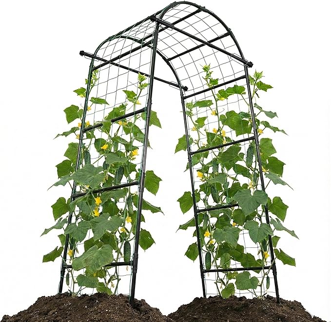 6.6ft Garden Arch Trellis | Walk-Through Plant Support for Climbing Vines Flowers Vegetables Grapes and Tomatoes, Sturdy Outdoor Metal Arbor for Raised Beds
