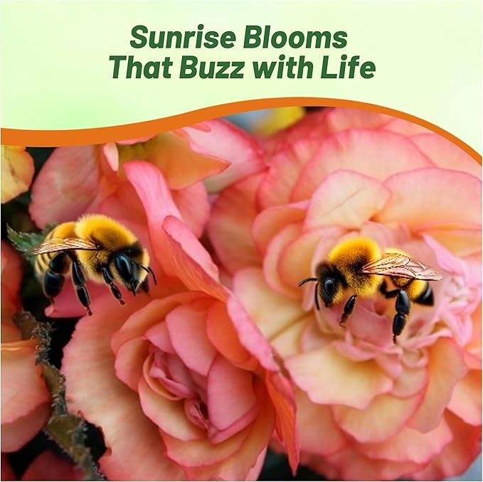 Outsidepride Sunrise Limitless Begonia Seeds for Planting - 25 Pcs Perennial Flower Seeds with Large Blooms, Arching & Pendulous Growth Habit, for Containers, Hanging Baskets, or Landscape Plantings