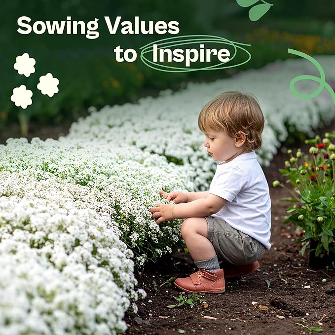 SVI 3000 Carpet of Snow Sweet Alyssum Seeds (Lobularia maritima) – White Sweet Alyssum Seed Packets Bulk – Ground Cover Seed Pack, Flower Seeds for Outside, Containers, Flower Beds
