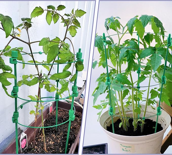 Tomato Cage for Garden- Upgrade 36 Inches Adjustable Plant Support Cage,Cucumber,Rose,Flowers,Fruit,Trellis for Climbing Plants Outdoor/Inodoor(4 Pack)