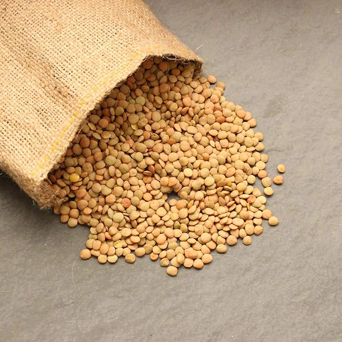 Organic Dried Green Lentil Sprouting Seed: 8 Oz - Dry Lentils for Planting Garden Seeds, Soup, Cooking or Sprout Salad, Sprouts