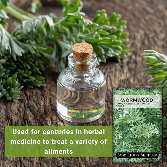 Sow Right Seeds - Wormwood Seeds for Planting - Non-GMO Heirloom Packet with Instructions to Plant & Grow an Outdoor or Indoor Herb Garden - Sagewort Repels Mosquitoes - Medicinal Worm Wood Herb (3)