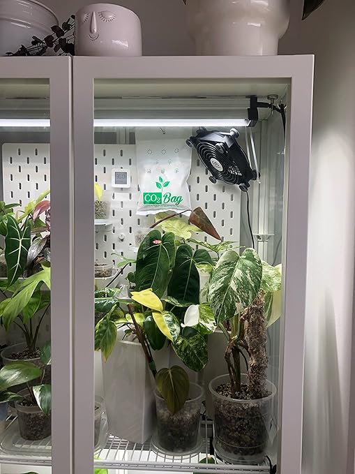 CO2BAG® M – Natural CO₂ Generator for Indoor Plants & Greenhouses | Boosts Growth, Yield, Taste & Color | Compact, Safe & Maintenance-Free