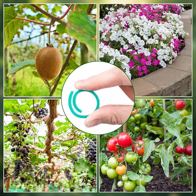 200 Pcs Plant Support Clips Garden Plastic Spiral Plant Clips for Climbing Plants Tomato Grape Vine Flower Lever Fixing Loop Gripper for Garden Netting Climbing Plants, Secured Stem and Vine