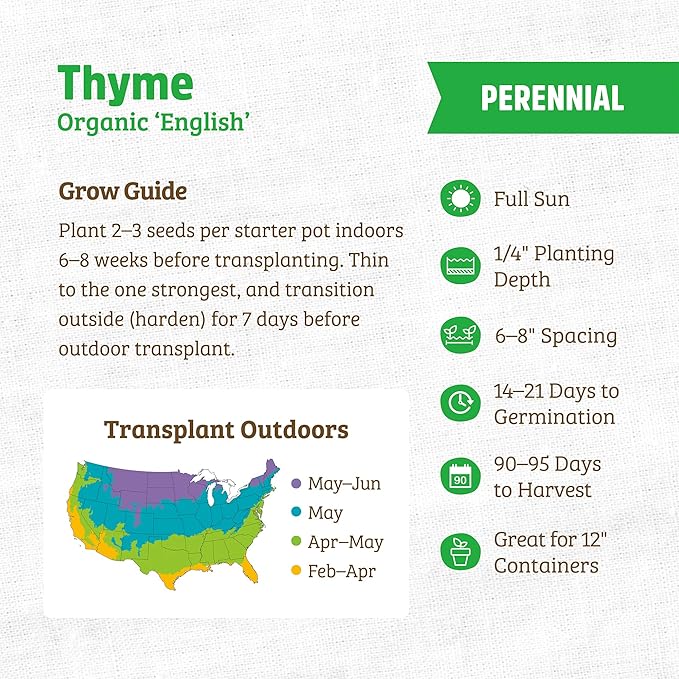 Back to The Roots 100% Organic Heirloom Seeds - Thyme Value Pack (140mg Total)