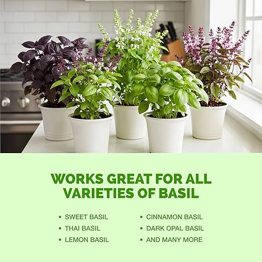 Basil Fertilizer – Liquid Plant Food for More Leaves, Fuller Plants & Fast Regrowth, 32 oz