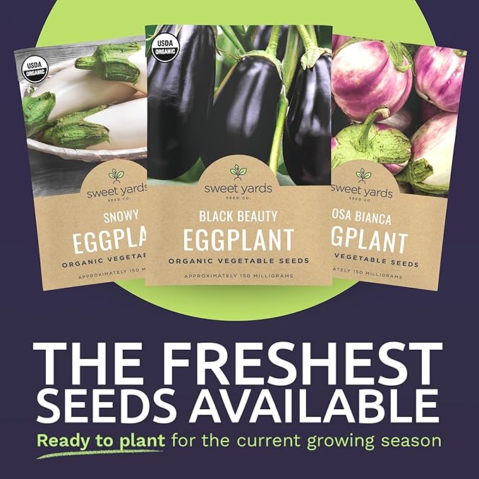 Organic Eggplant Seeds Variety Pack - 3 Individual Packs - 2026 Season - Black Beauty, Rosa Bianca and Snowy Eggplant! for Indoor & Outdoor Planting (Non-GMO, Certified Organic)