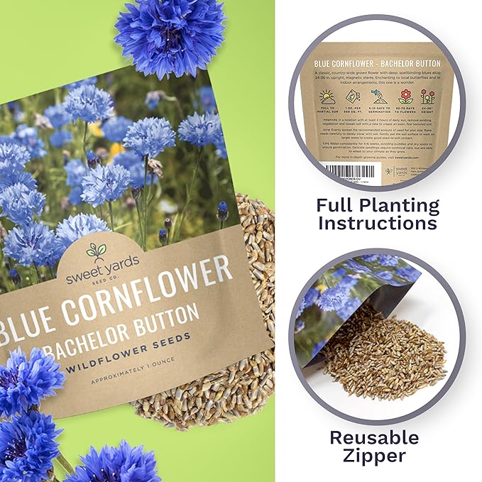Blue Cornflower Seeds – Bachelor Buttons – Extra Large Packet – Over 5,000 Open Pollinated Non-GMO Wildflower Seeds – Centaurea cyanus