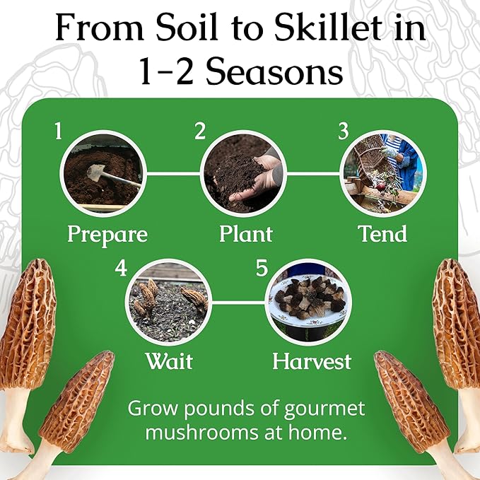 MOREL HABITAT KIT® Morel Mushroom Growing Kit (Morchella), Compatible with Any Soil Type Across The U.S., Outdoor Garden & Backyard Cultivation Set with Full Instructions - Made in The USA