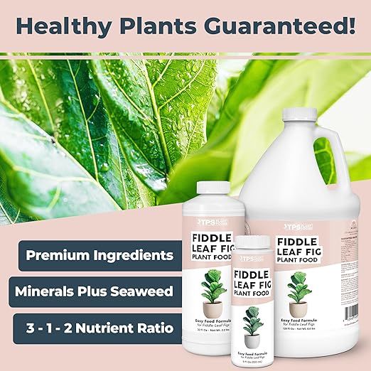 Fiddle Leaf Fig Plant Fertilizer – Liquid Plant Food for Bigger Leaves, Stronger Roots & Healthy New Growth, 32 oz