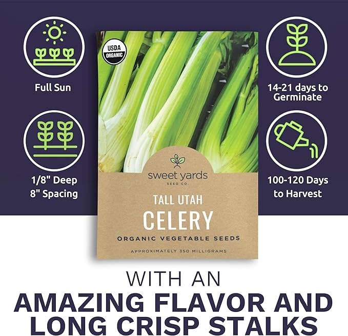 Organic Celery Seeds ‘Tall Utah’ – Two Seed Packets! – Over 1,926 Open Pollinated Heirloom Non-GMO Seeds – Sweet Yards Seed Co.