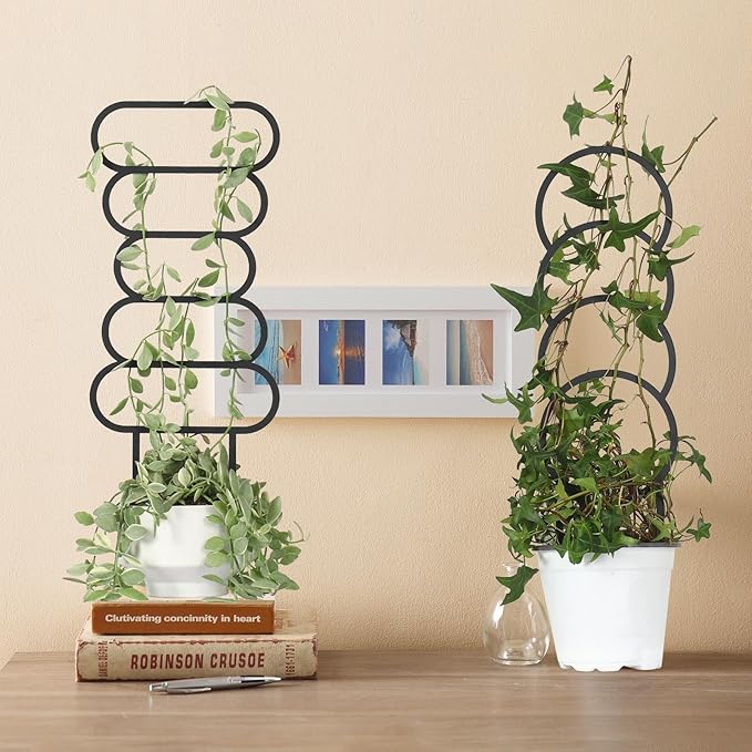 4 Pcs Trellises for Climbing Plants Indoor Metal Climbing Plant Support Metal Plant Trellis for Pots Garden Trellis for Climbing Plants for Plant Lovers (Style 2)