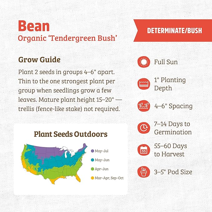 Back to The Roots 100% Organic Seed Packet - Bean 'Tendergreen' 8.4g