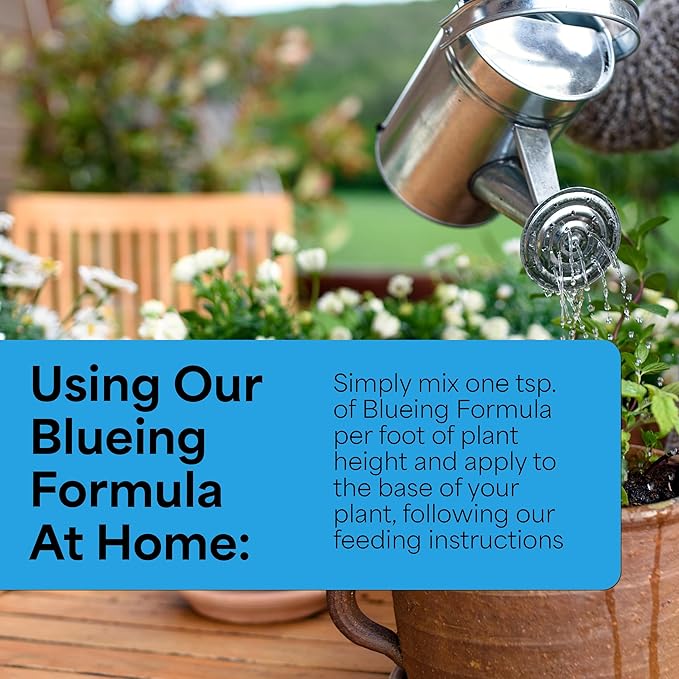 Grow More Hydrangea Blueing Formula - 2lbs of USA-Made Soil Acidifier for Hydrangeas, Azaleas, Gardenias, & Many More - Contains Aluminum Sulfate That Enhances Color Change for Soil and Potted Plants