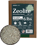 Zeolite Rocks Regular Size 2 Quarts 6 Pounds for Succulents Bonsai Trees Odor Control Soil Drainage and Moisture Balance