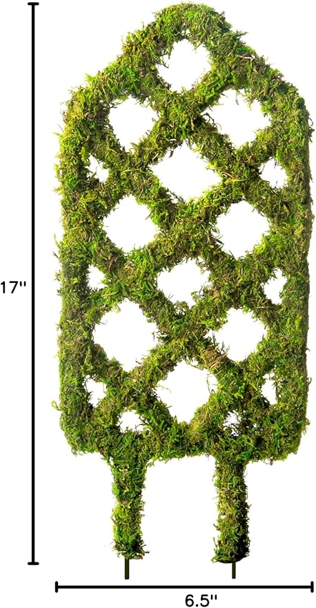 SuperMoss Plant Trellis - Decorative Garden Trellis for Climbing Plants Indoor & Outdoor | Moss-Covered Plant Support for Raised Garden Bed, Patio, Planters, and Garden Decor, Mini 17" X 6.5", Diamond
