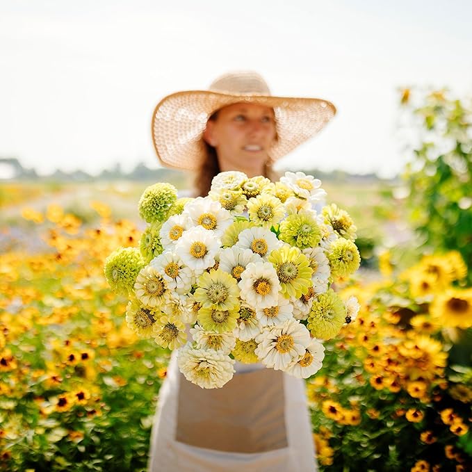 Eden Brothers Zinnia Seeds - Fresh Mix, Non-GMO Seeds for Planting, 1 oz | Low-Maintenance Flower Seeds, Plant During Spring, Zones 3, 4, 5, 6, 7, 8, 9, 10