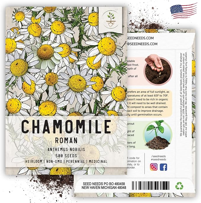 Seed Needs Roman Chamomile Seeds for Planting - Non-GMO, Heirloom & Untreated - Grow a Home Grown Medicinal Tea Herb Garden Indoors or Outdoors (1 Pack)